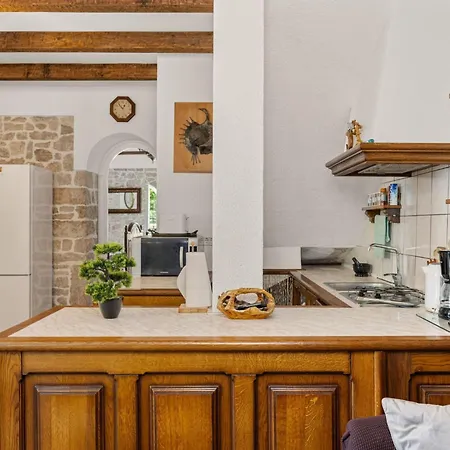 Gemuetliches In Ruzici Mit Offenem Kamin By Interhome Nedeščina